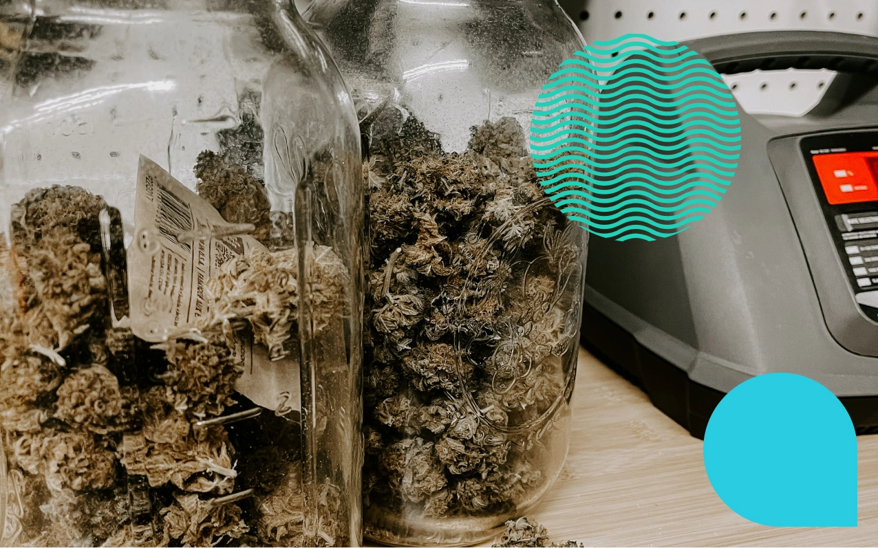 SHOP ALL CANNABIS PRODUCTS visual data 8